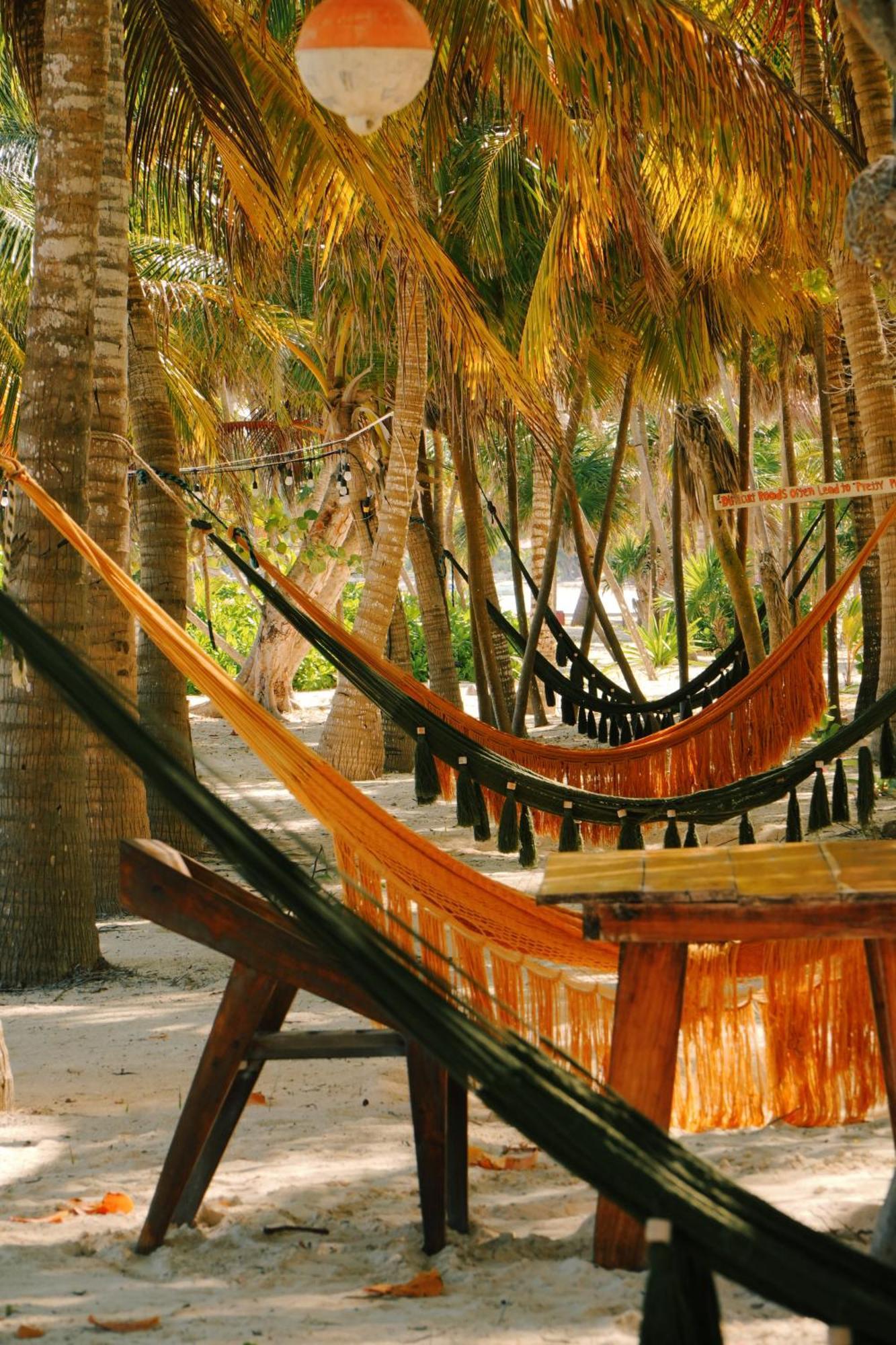 Lodge Cielo Y Selva