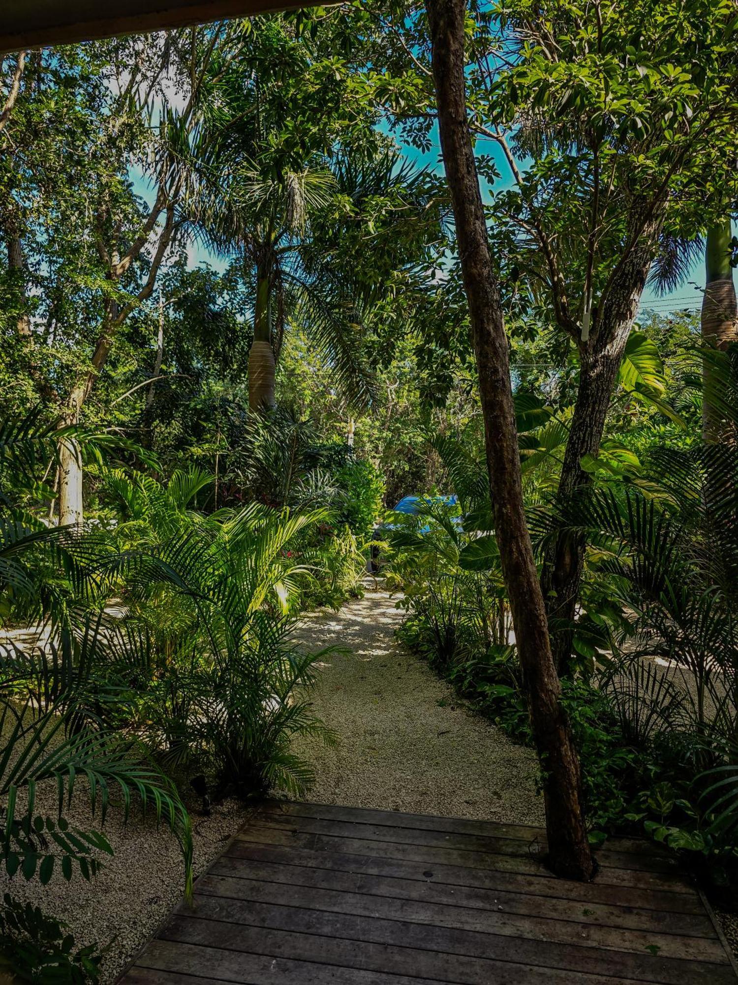 Santuario * Chemuyil