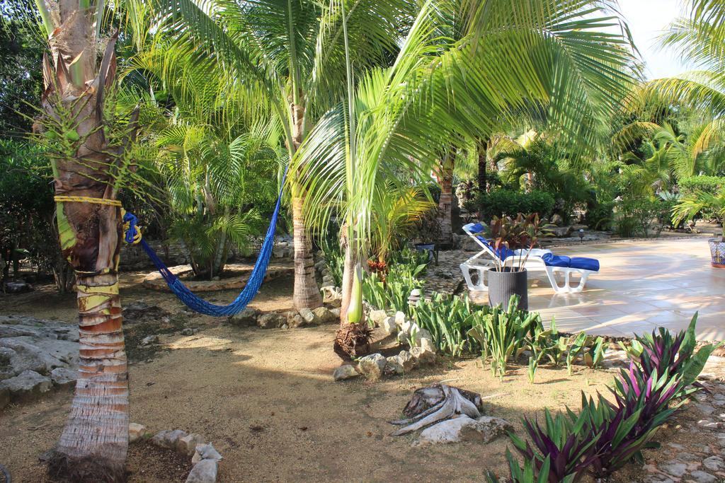 Casa De Tortugas I Tour