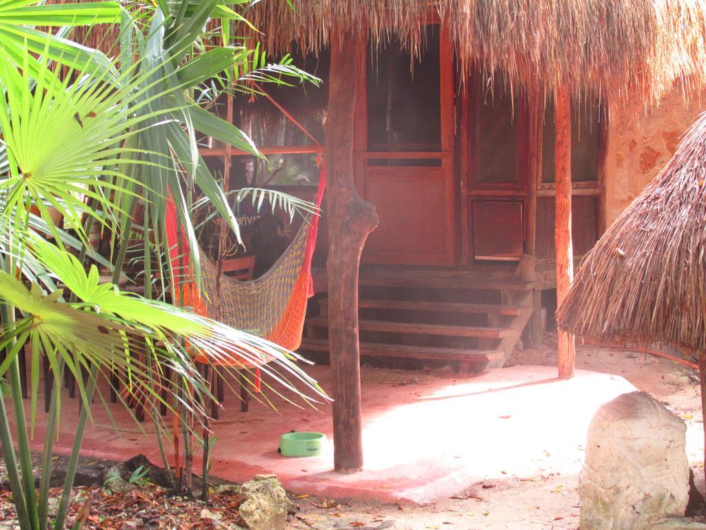 Organic Yoga Mexico Bed & Breakfast Akumal