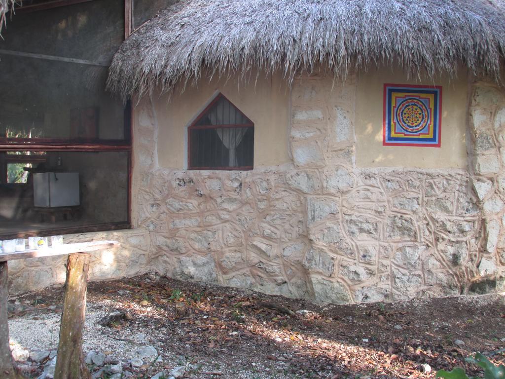 Organic Yoga Mexico Bed & Breakfast