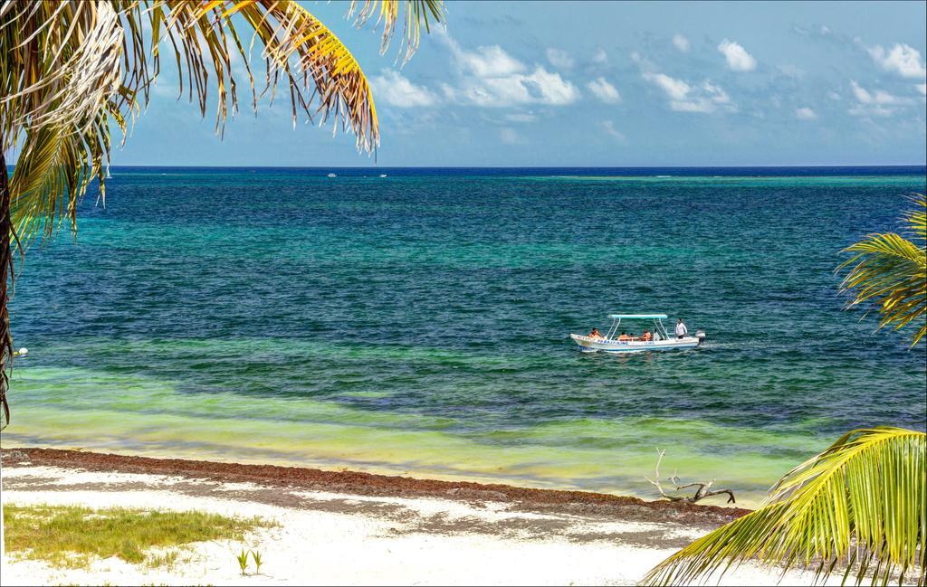 Front House At Puerto Morelos