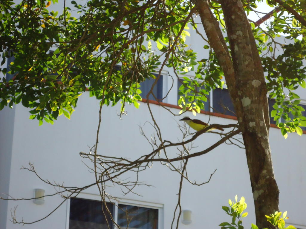 Holiday home Casa Sol *