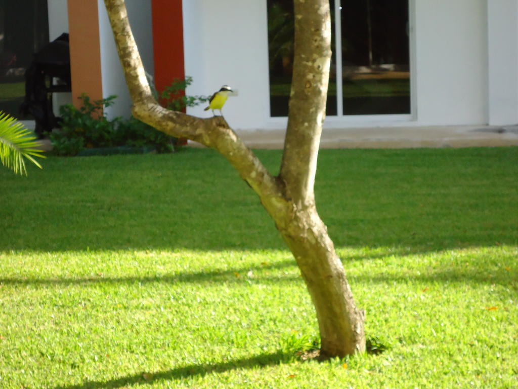 Holiday home Casa Sol