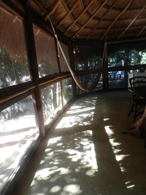 Organic Yoga Mexico Akumal