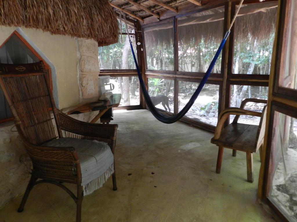 Organic Yoga Mexico *