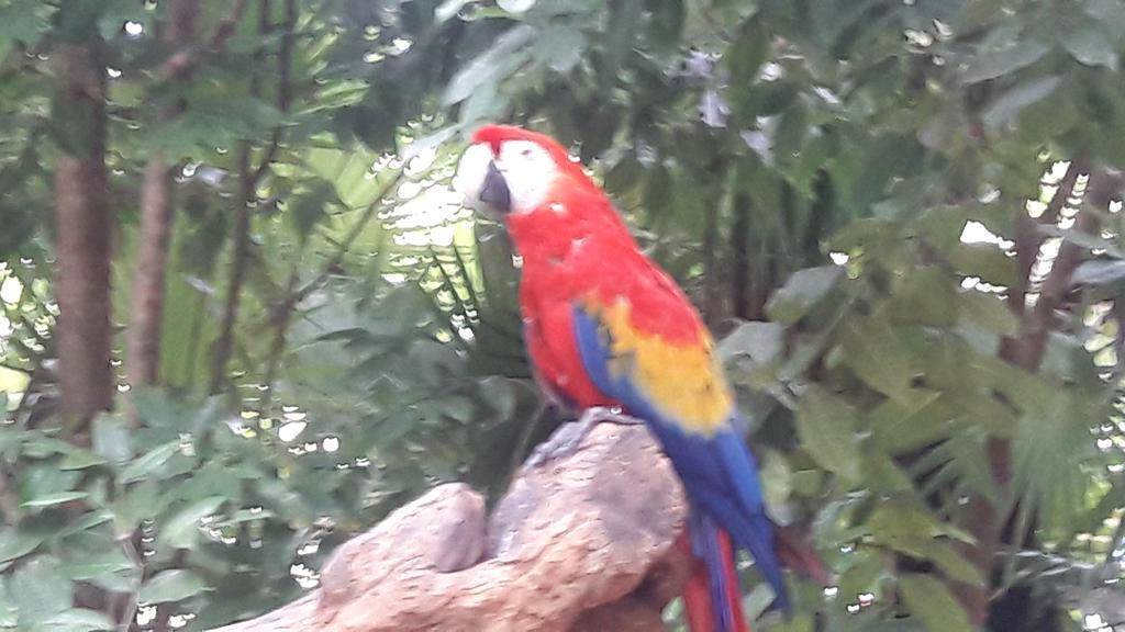 Vida Nueva Peregrina Bed and breakfast