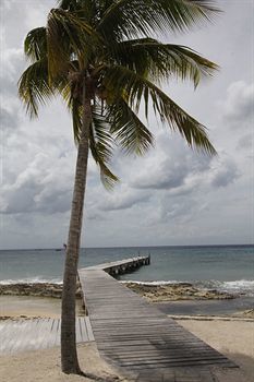 Costa Del Sol Apartment *