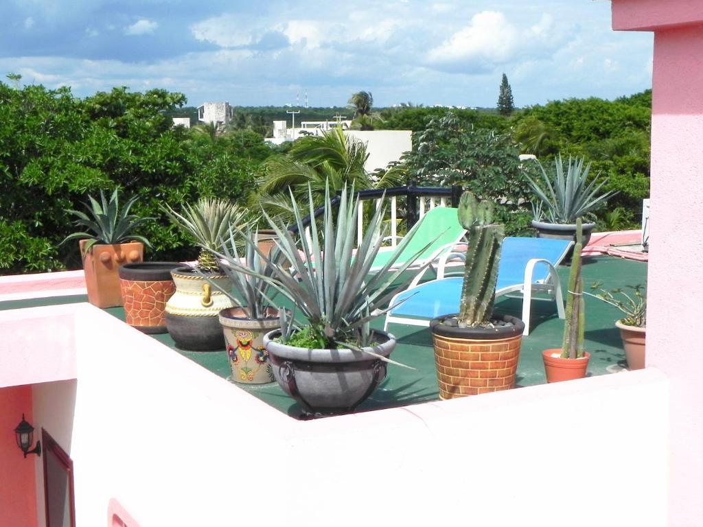Casa Gatos