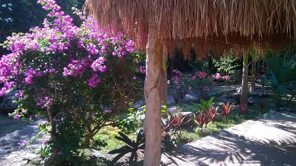 Casa De Tortugas I Tour