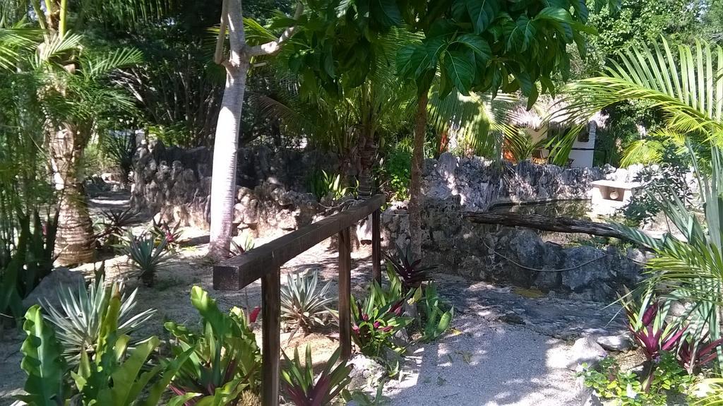 Casa De Tortugas I Tour Akumal