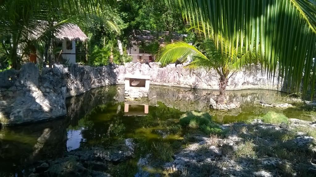 Casa De Tortugas I Tour Hotel