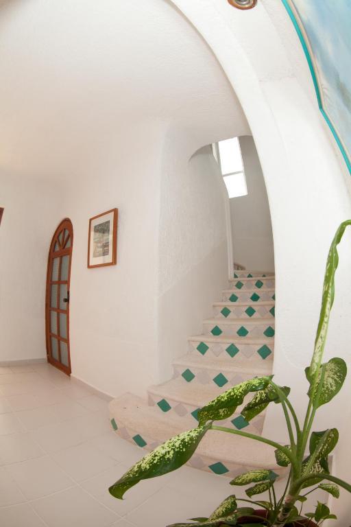 Villas Flamingo Villa