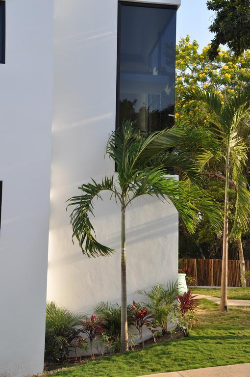 Eva Luxury * Akumal