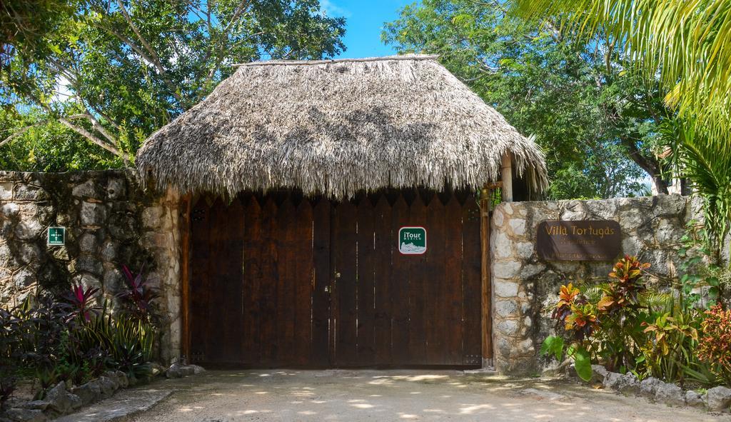 Casa De Tortugas I Tour Hotel Akumal