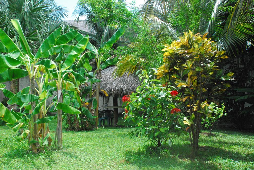 Holiday home Casa Colonial
