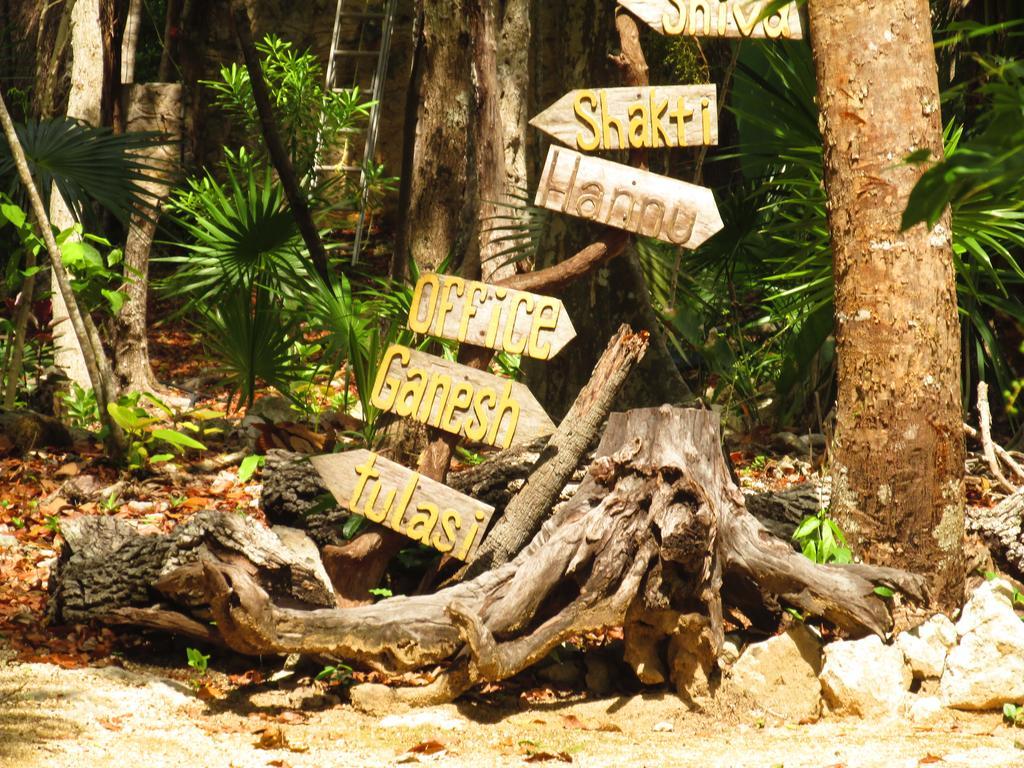 Organic Yoga Mexico Bed & Breakfast Akumal