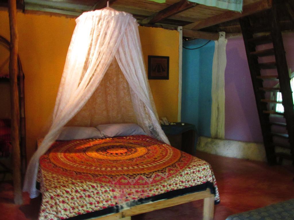 Organic Yoga Mexico Akumal