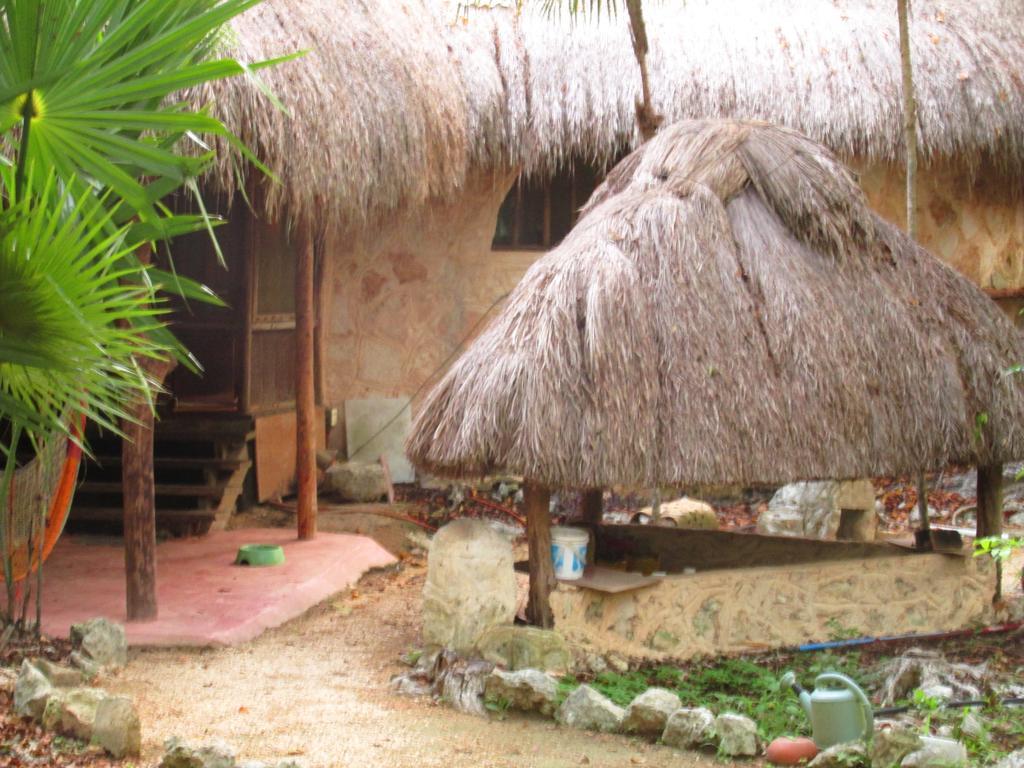 Organic Yoga Mexico *