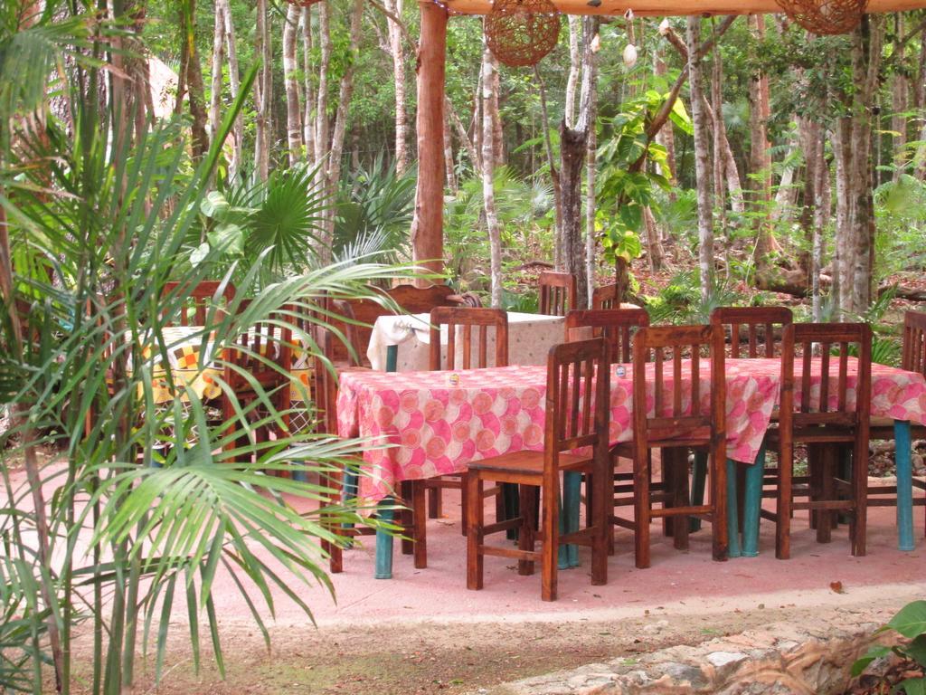 Bed & Breakfast Organic Yoga Mexico Akumal