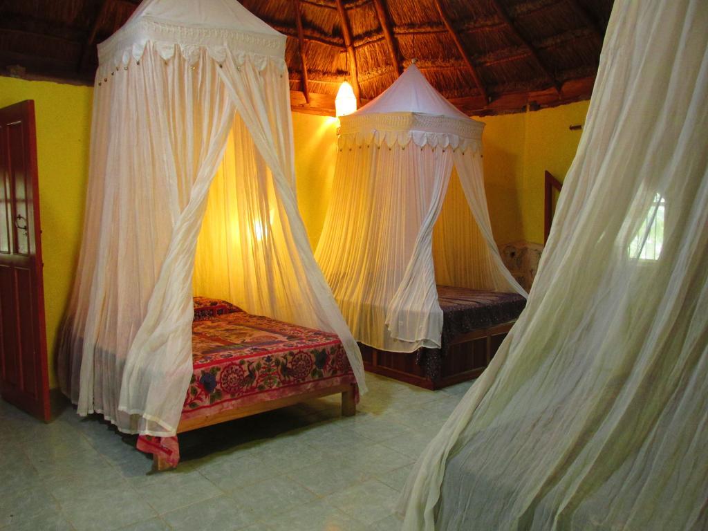 Organic Yoga Mexico