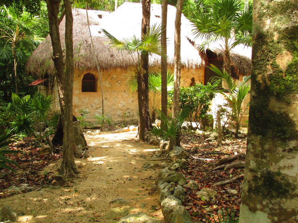 Bed & Breakfast Organic Yoga Mexico *