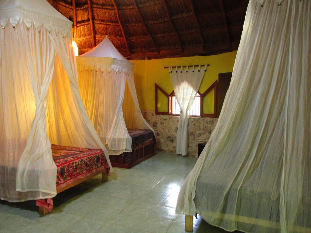 Bed & Breakfast Organic Yoga Mexico *