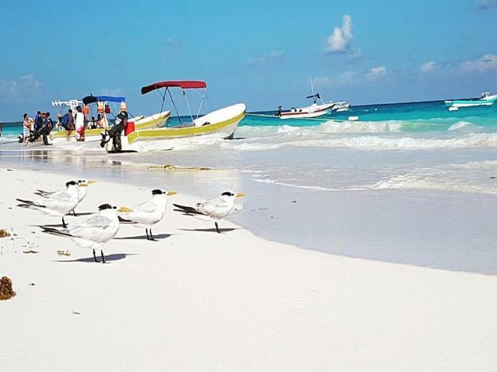 Acampamento Hippieschic Mexico Eco Glamping Tulum