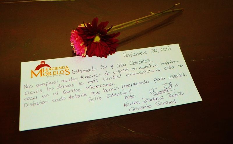 Hacienda Morelos Beachfront Hotel 3*