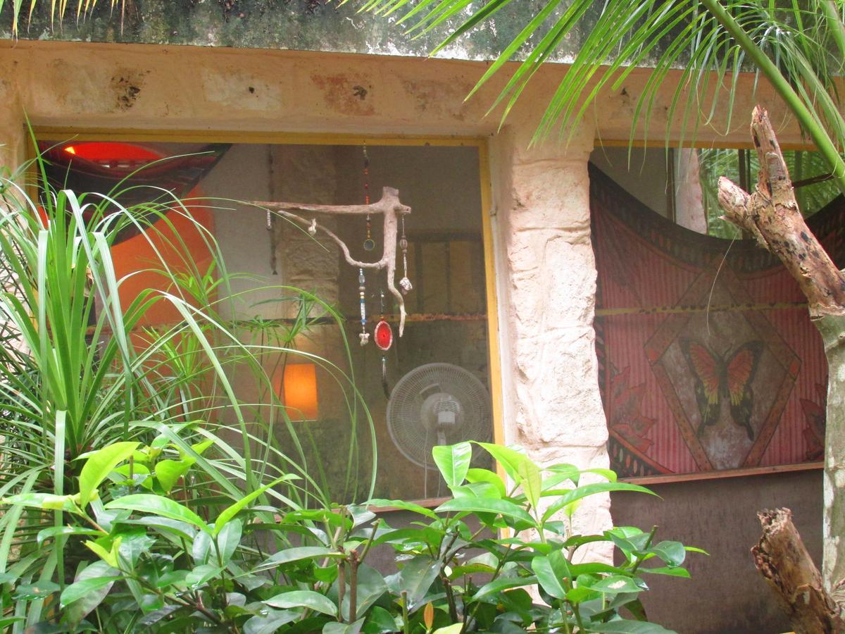 Bed & Breakfast Organic Yoga Mexico Akumal