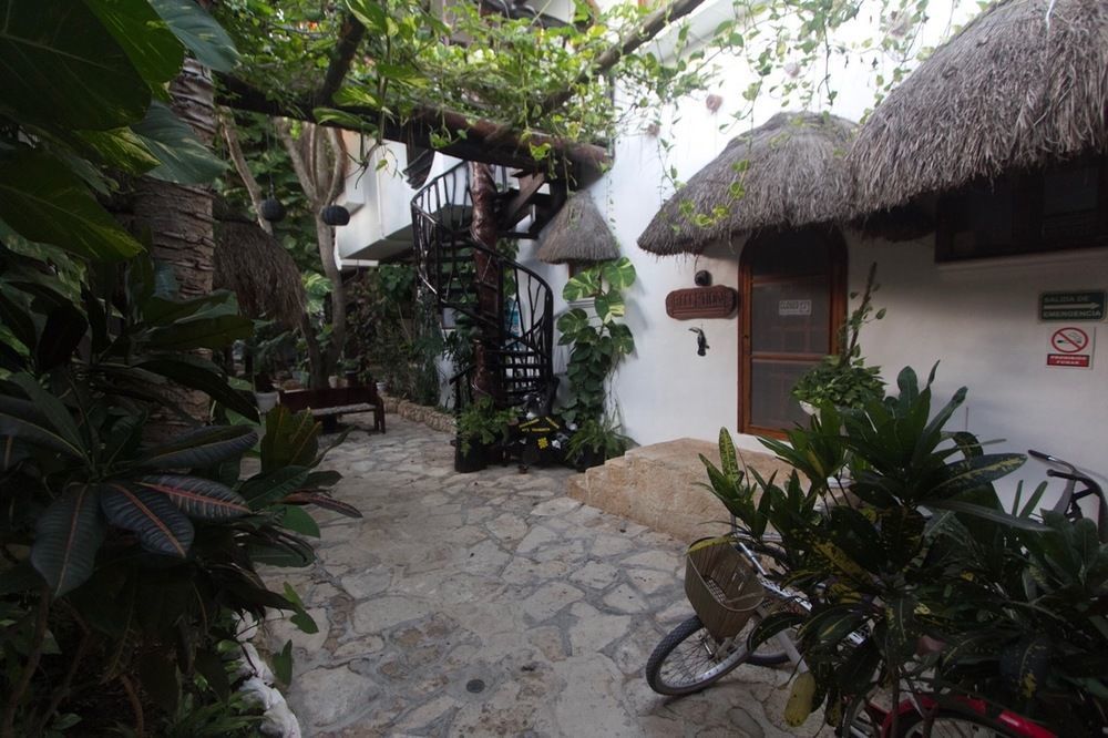 Yum Kin Tulum