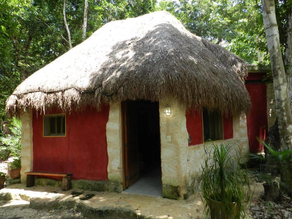 Organic Yoga Mexico * Akumal