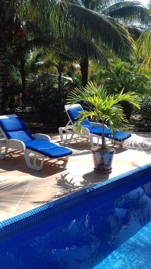 Casa De Tortugas I Tour Hotel Akumal