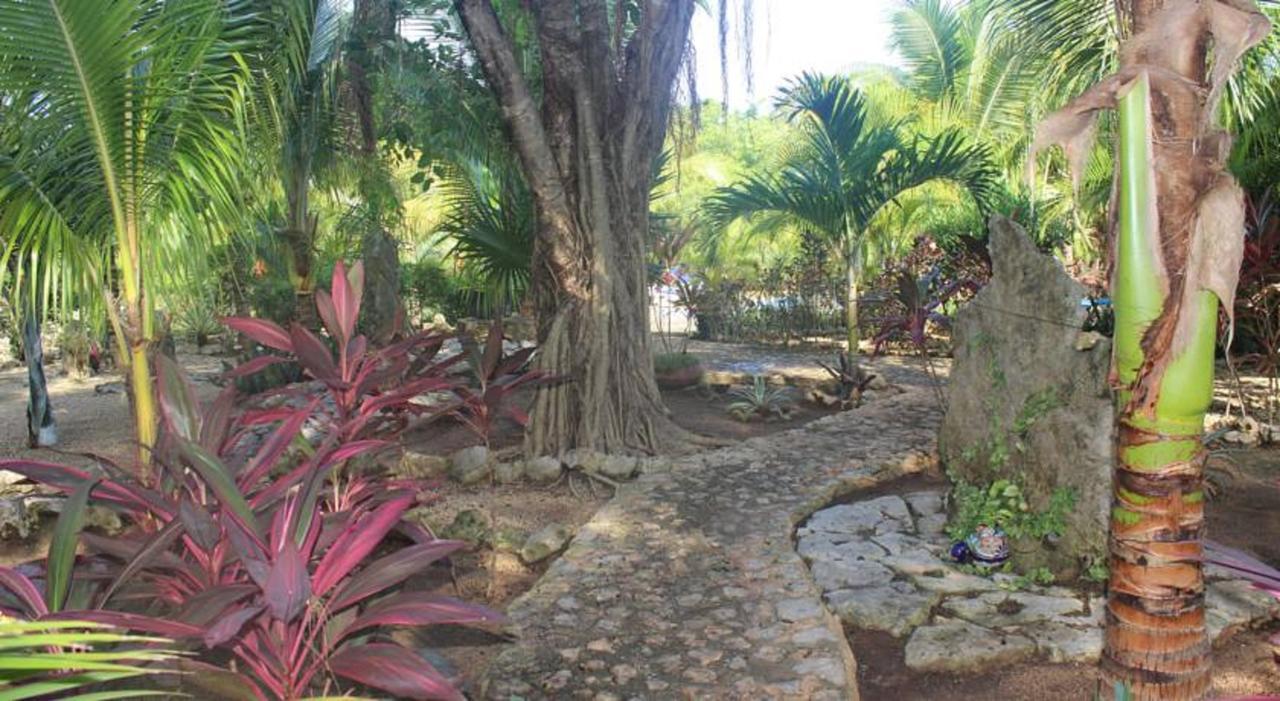Hotel Casa De Tortugas I Tour