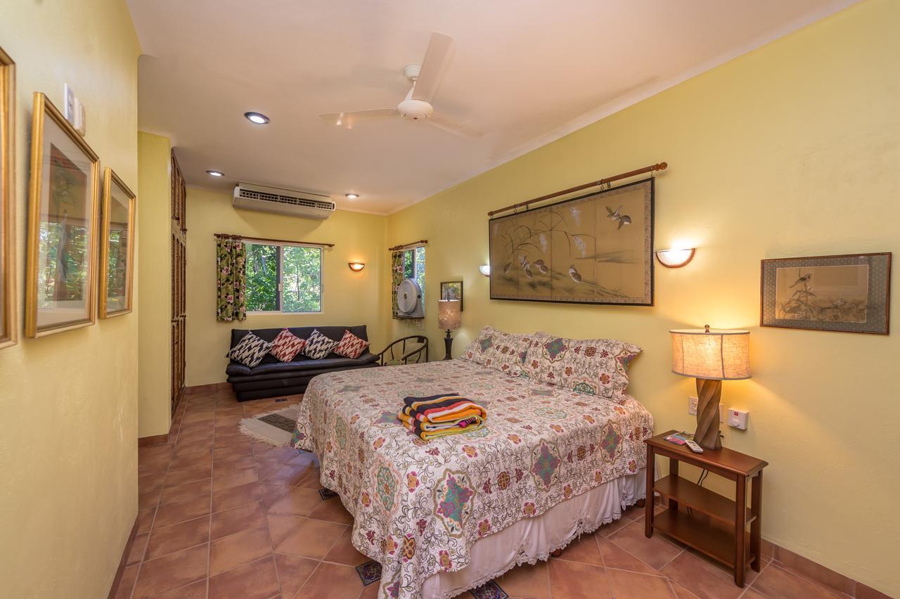 Casa Gatos