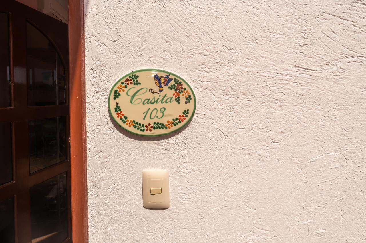 Casa Gatos