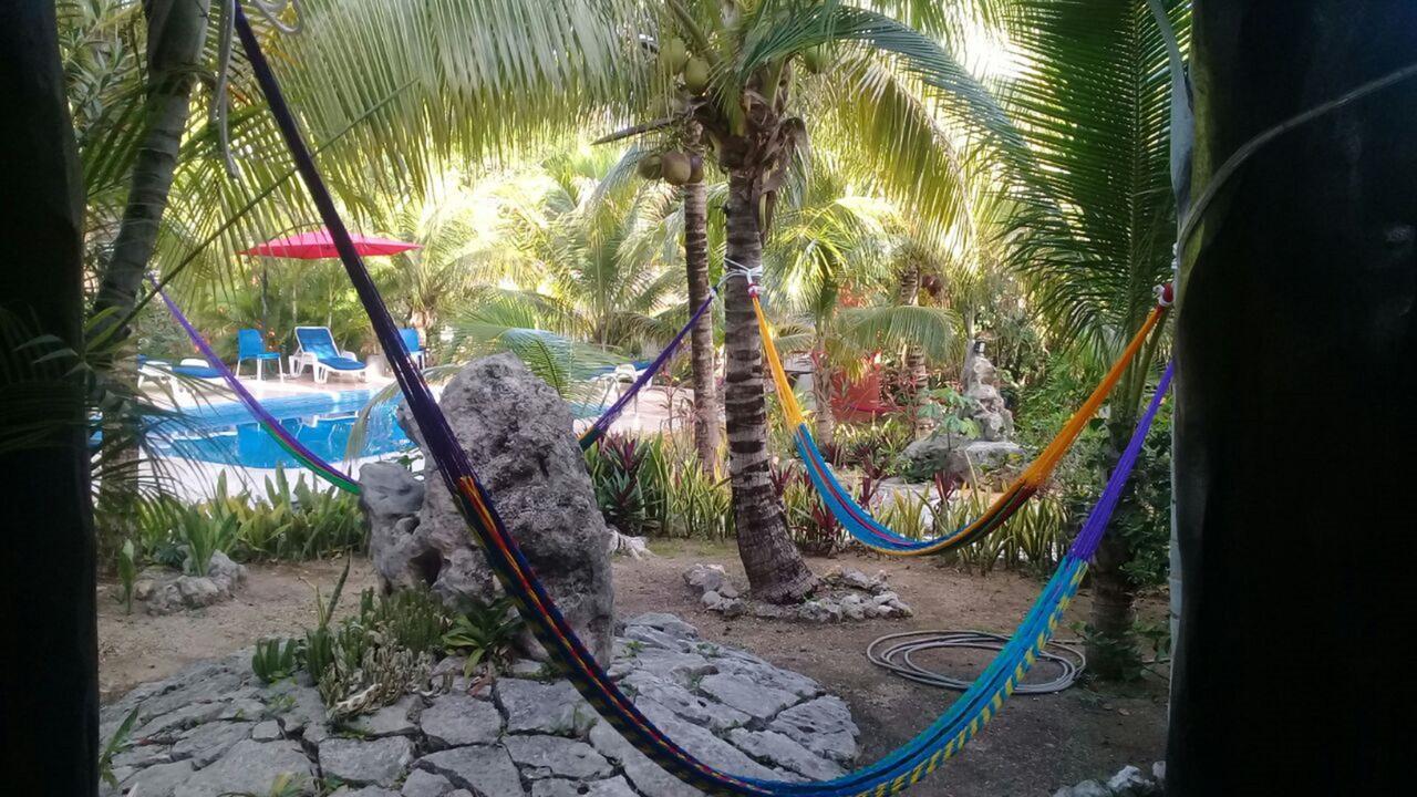 Hotel Casa De Tortugas I Tour 2*