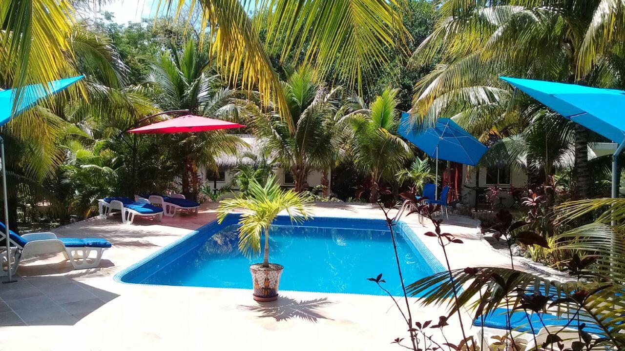 Casa De Tortugas I Tour Akumal