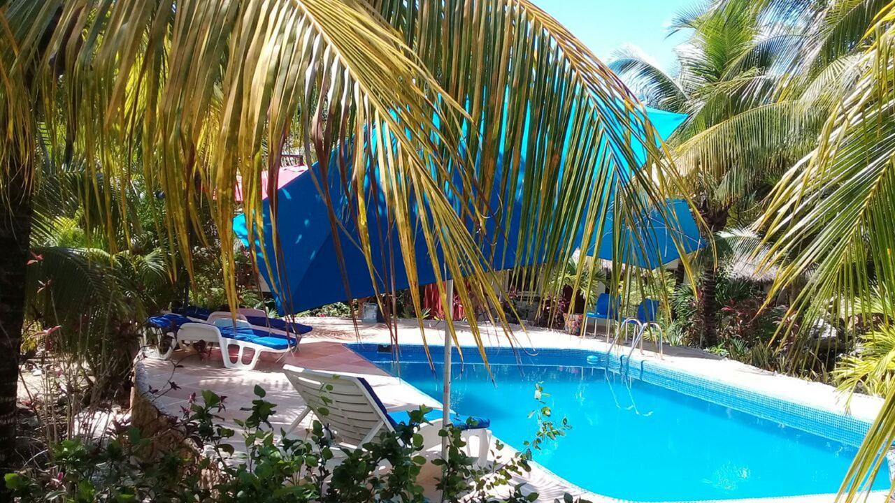 Hotel Casa De Tortugas I Tour Akumal