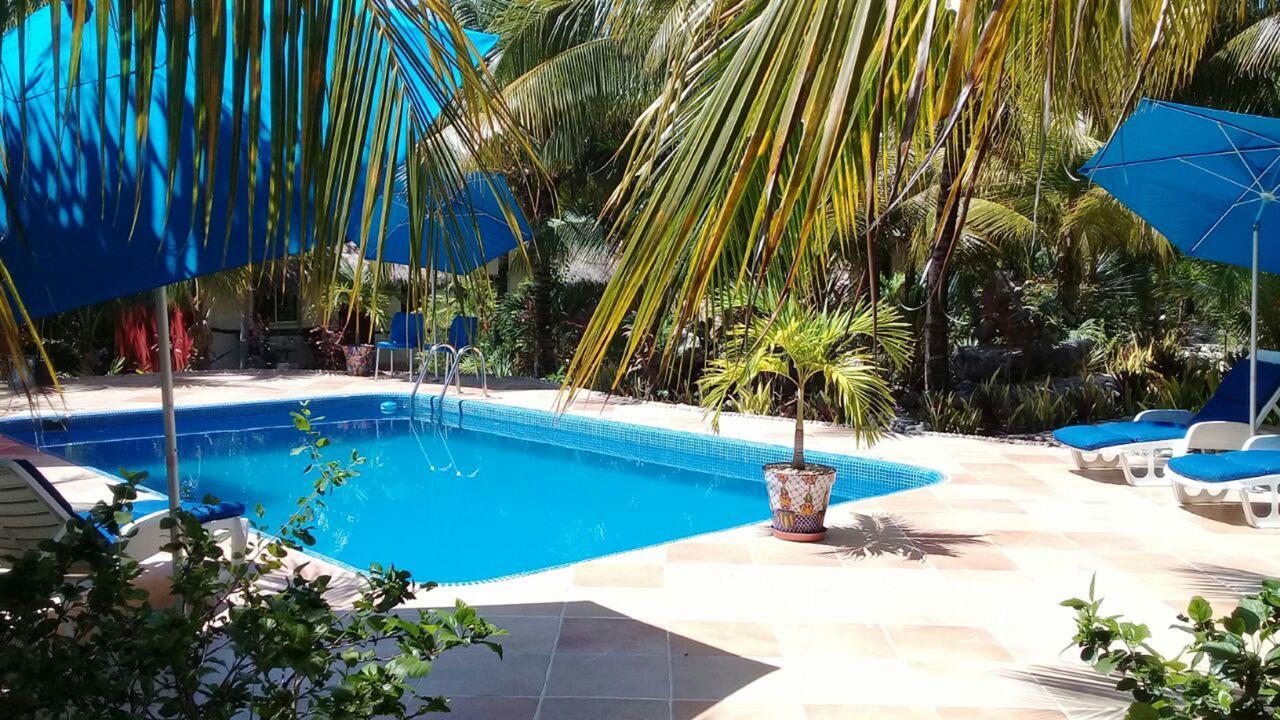 Casa De Tortugas I Tour Hotel 2*