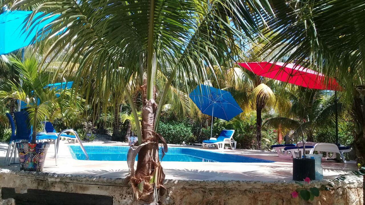 Casa De Tortugas I Tour