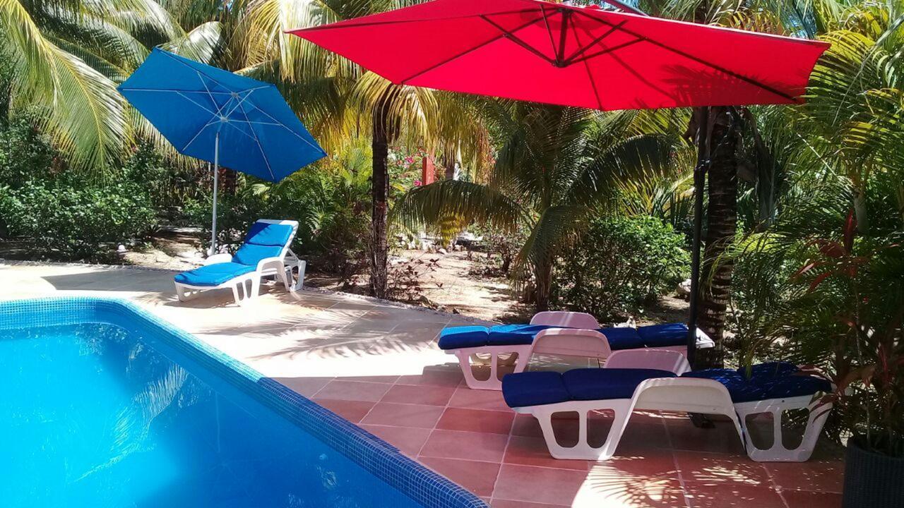 Casa De Tortugas I Tour Hotel Akumal