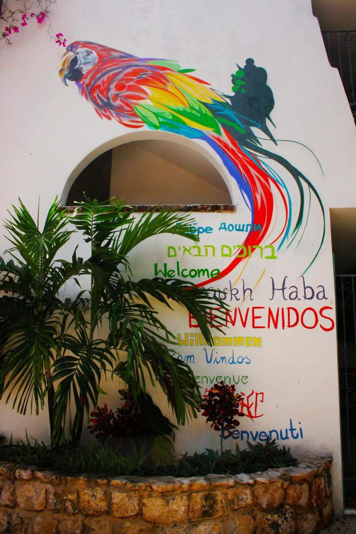 Albergue The Yak *