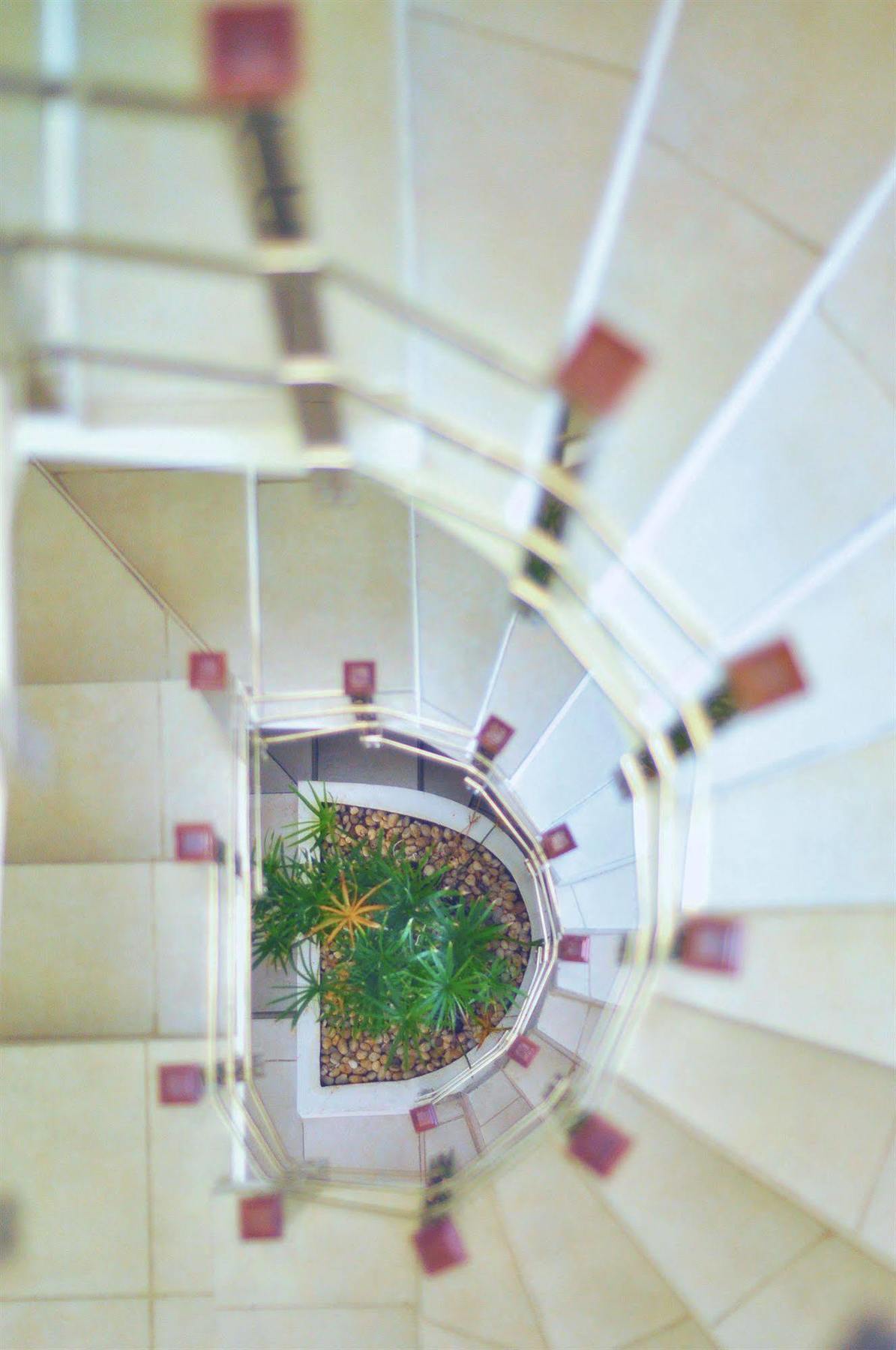 Apartment 46 *