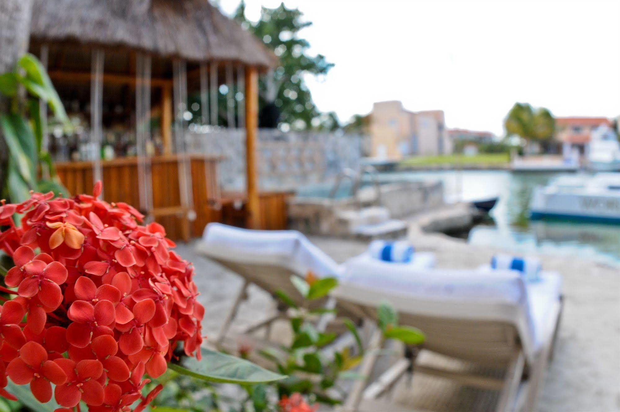 Chez Waffle Hotel Hotel 4*