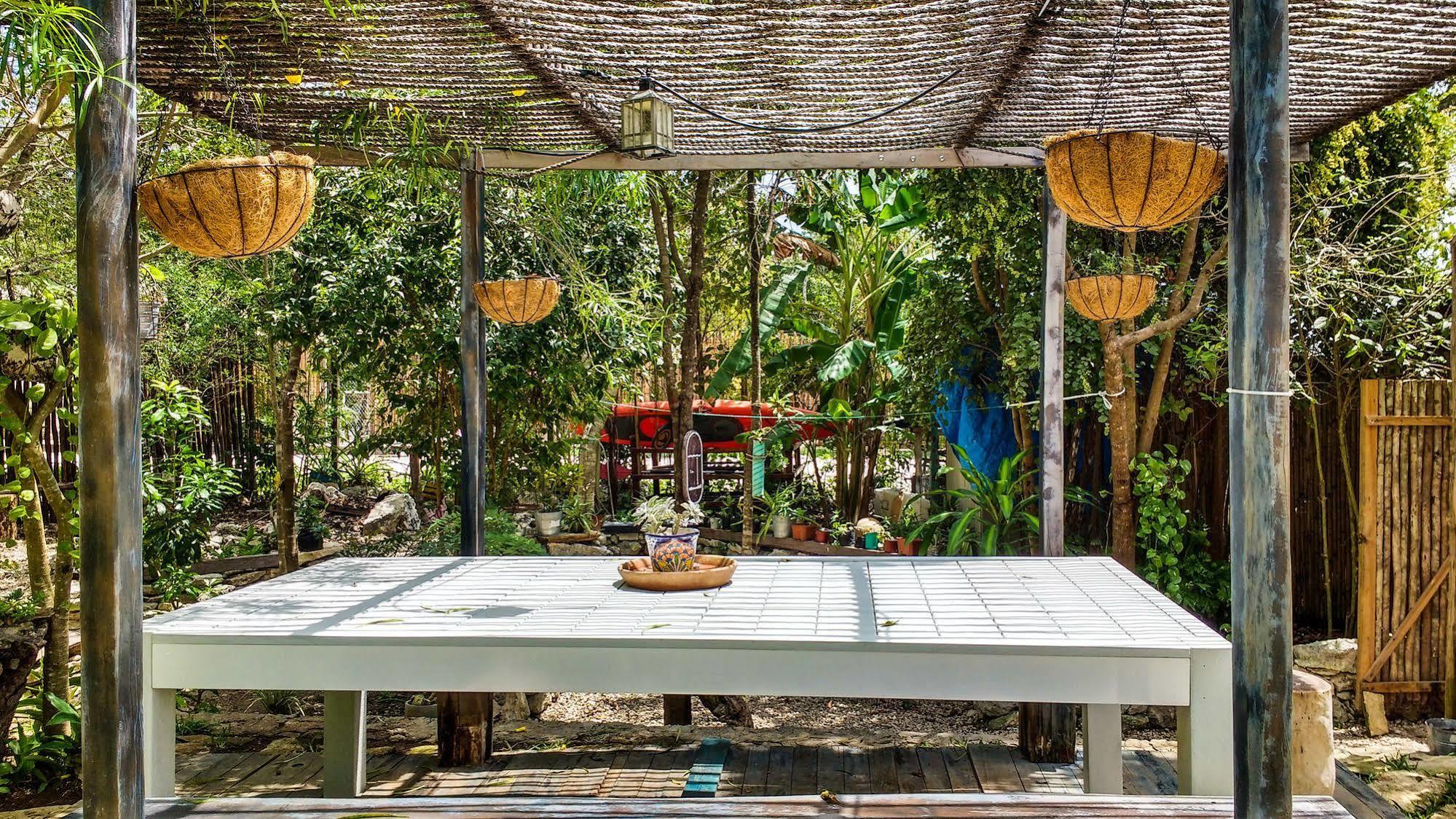 Casa Chachalaca