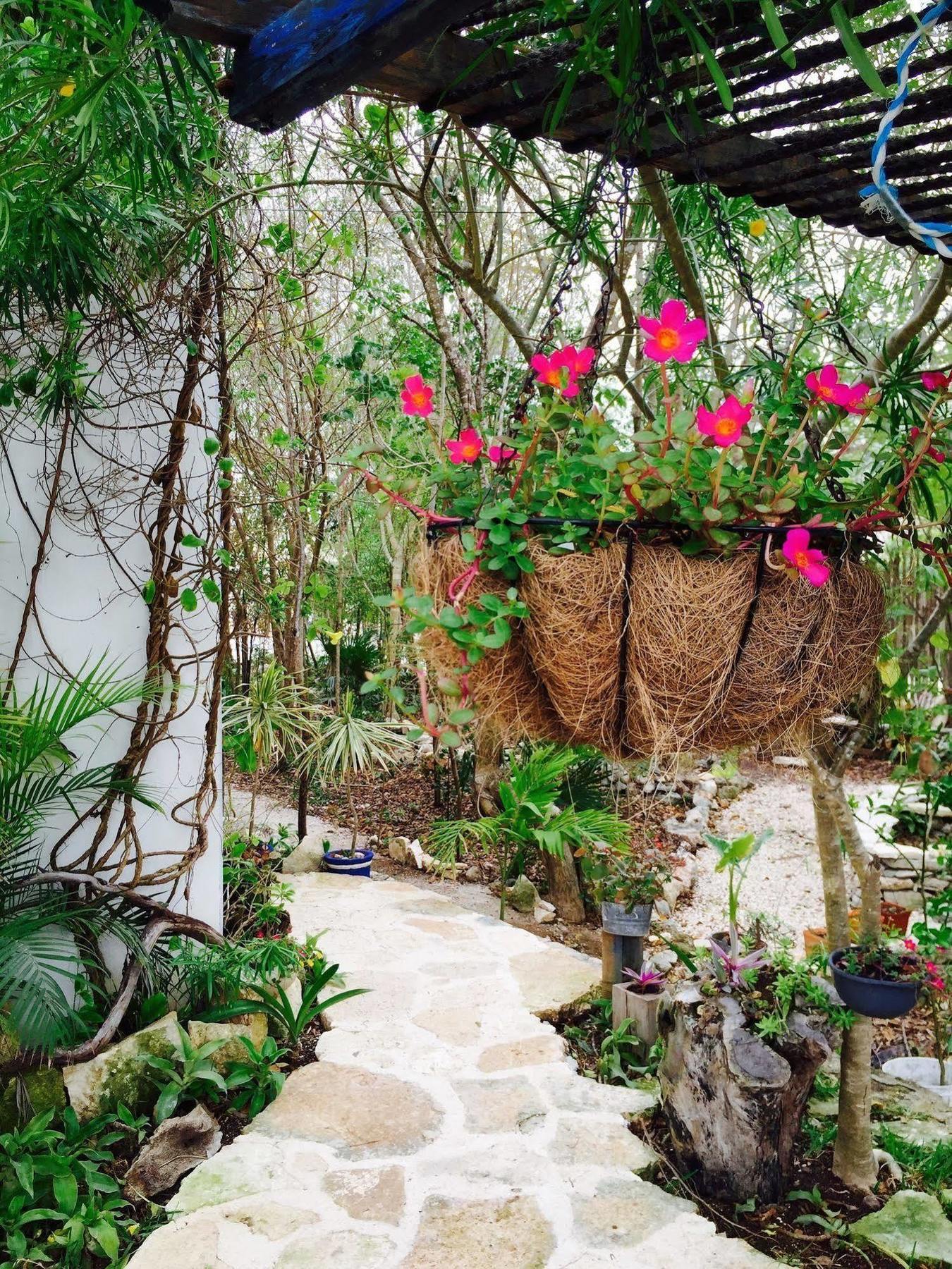 Apartamento Casa Chachalaca