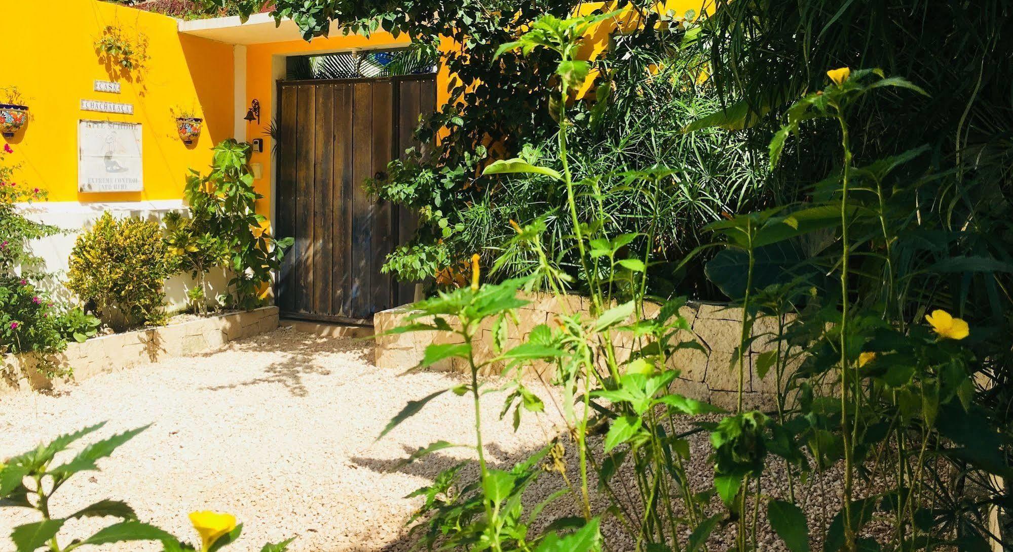Casa Chachalaca *