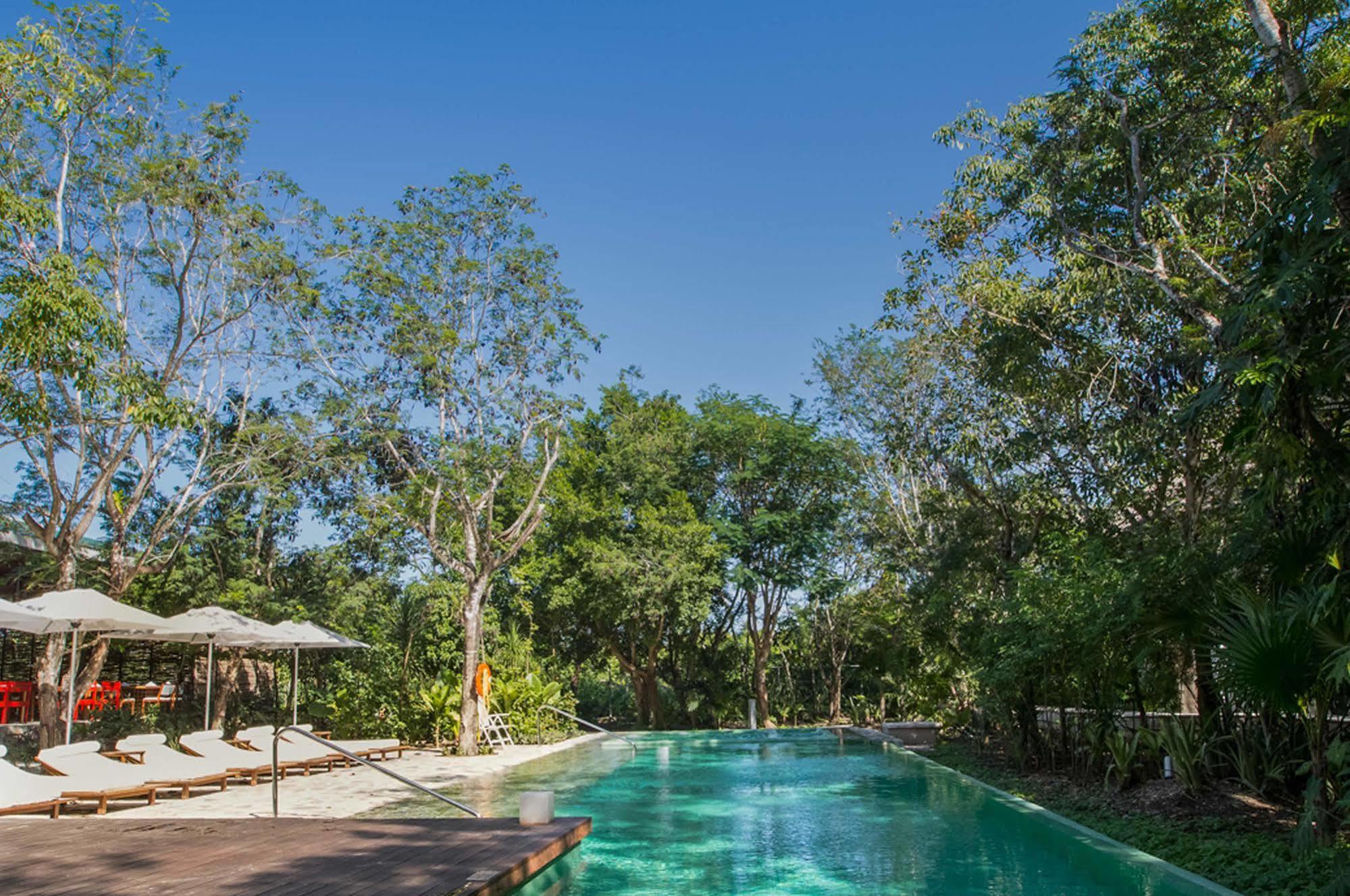Resort The Explorean 4*