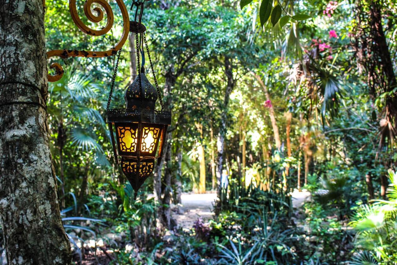 Chalet Cavelands In The Jungle *